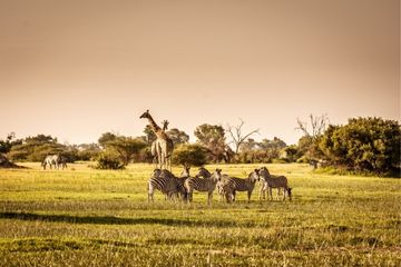 eastern cape tourism,Eastern Cape Tourism Expo
