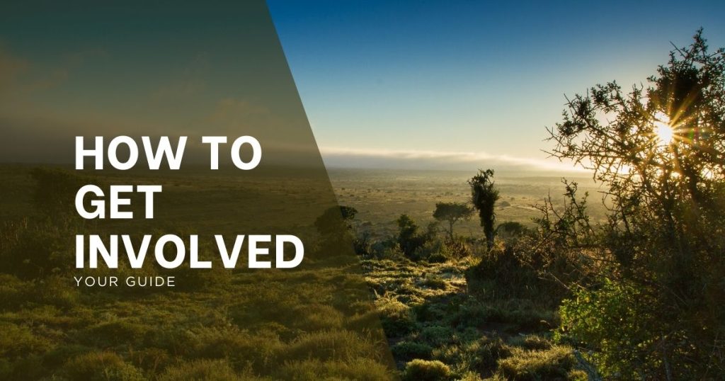 How to Get Involved in the Eastern Cape Tourism Awards & Expo